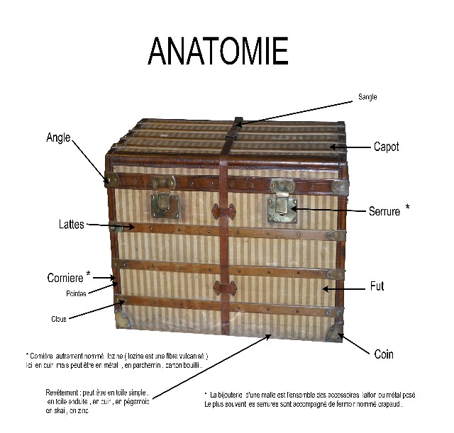 anatomie malle de voyage