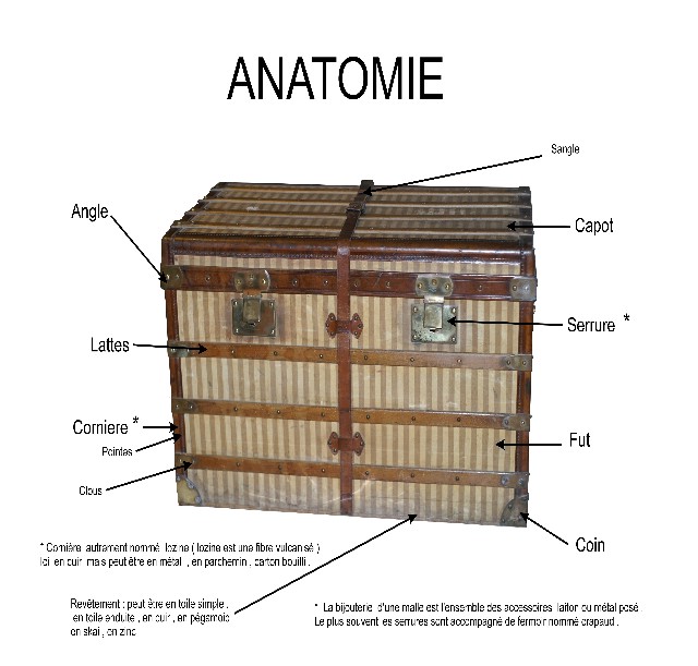 Trunk Anatomy  Trunk makeover, Steamer trunk makeover, Steamer trunk