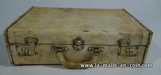 R1493 Hide suitcase / briefcase