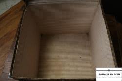 IMG_3469__1761410207_615
