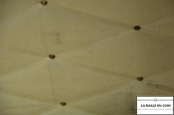 IMG_4005__1774433625_445